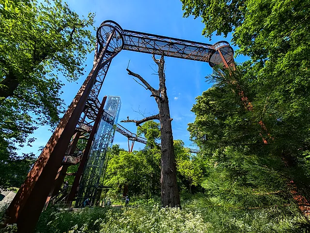 The rust-red steel supports and gantry of the Treetop Walkway rising among the trees